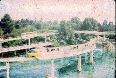 Travel; Disney Land